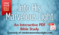 into his marvelous light